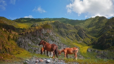 Фото нашей Странницы Светланы Соколовой