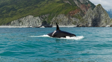 Фото из архива Клуба