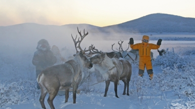 Фото: Михаил Местников