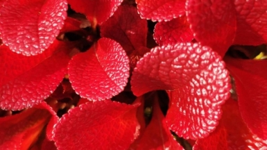 Фото нашего гида Евгении Скопиной