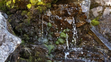 Фото Ирины Пшестанчик