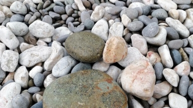 Фото из архива Клуба