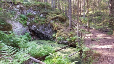 Фото нашего гида Алексея Петровского