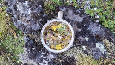 Фото нашей Странницы Марии Дель