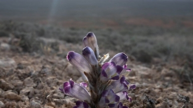 Фото нашего гида Михаила Верёвченко