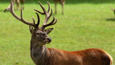 Фото: Peter G Trimming, visualhunt.com