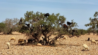 Фото нашего Странника Антона Воронова
