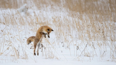 Фото: Birger Strahl on Unsplash