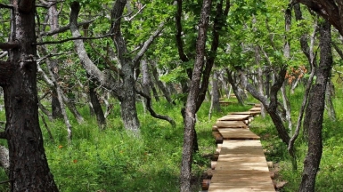 Фото наших партнёров