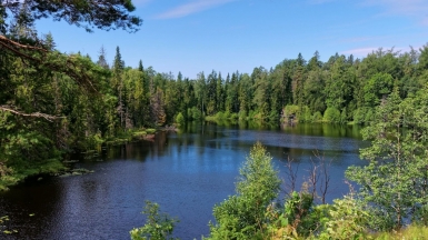 Фото: Alexxx1979, visualhunt