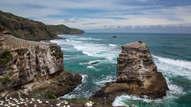 Фото нашей Странницы Татьяны Руновой