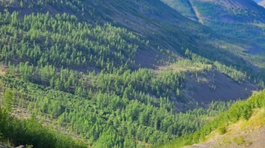 Фото нашей Странницы Анны Лазаренко