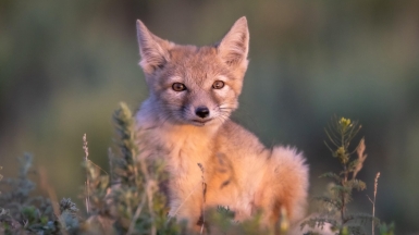 Фото нашего гида Михаила Верёвченко