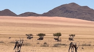Фото: наш гид Алексей Шорец