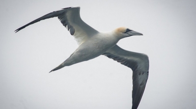 Фото из архива Клуба