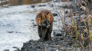 Фото: Михаил Местников