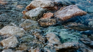 Фото: pure julia, unsplash.com