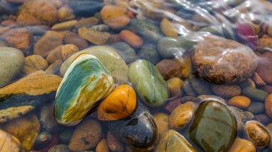 Фото из архива Клуба