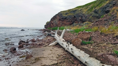 Мыс Корабль. Фото нашего гида Галины Шелудько