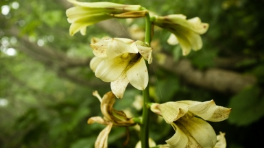 Фото: acidka, visualhunt.com