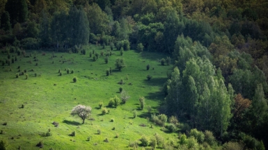 Фото нашего гида Михаила Верёвченко