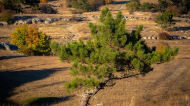 Фото Михаила Верёвченко