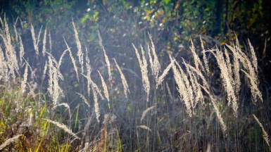 Фото наших Странников