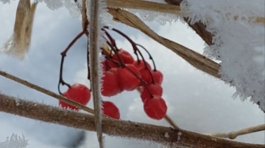 Фото наших Странников