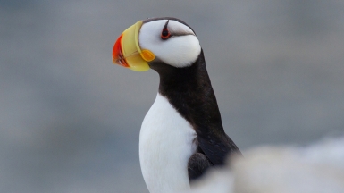 Фото из архива Клуба