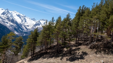 Заснеженные горы Домбая. Фото нашего Странника Кирилла Родионова