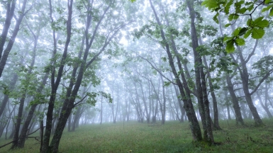 Фото из архива Клуба