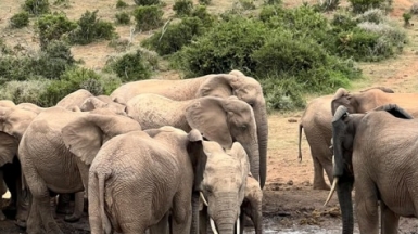 Фото: наш гид Алексей Шорец