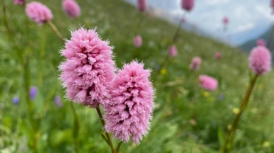 Фото нашей Странницы Полины Лапшиной