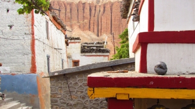 Фото нашего гида Лики Майстровой