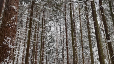 Фото нашего гида Александра Чудновского