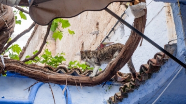 Автор: jfgornet, источник: visualhunt 