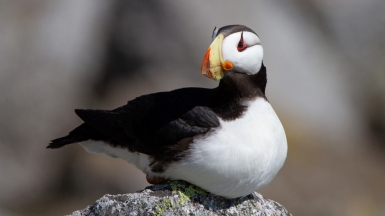 Фото из архива Клуба