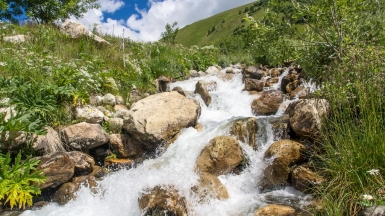 Фото нашего гида Ирины Пряничниковой.