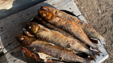 Фото гида Вероники Шемякиной