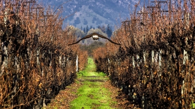 Источник фото: visualhunt.com