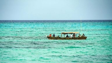 Фото: Majkl Velner, unsplash.com