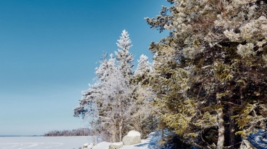 Фото из архива Клуба