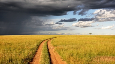 Фото: Pop & Zebra, unsplash.com