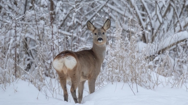Фото нашего гида Михаила Верёвченко