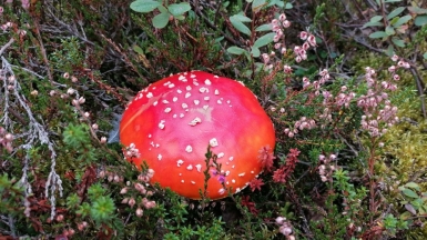 Фото наших Странников