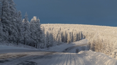 Фото: Михаил Местников