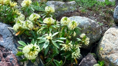 Фото нашей Странницы Марии Жбановой