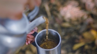 Фото: Alireza Shojaei on unsplash