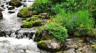 Фото нашего гида Евгении Скопиной