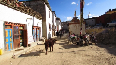 Фото нашего гида Лики Майстровой